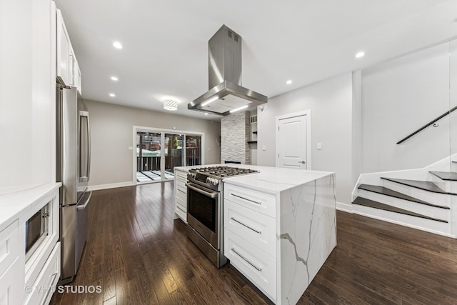3125 S Giles Ave, Chicago, IL 60616 - kitchen featuring stainless steel appliances, island exhaust hood, dark wood finished floors, light stone counters, and white cabinets