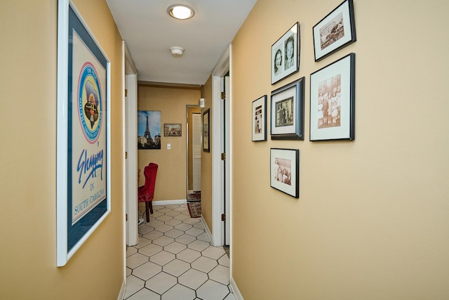 202 Country Ln Unit 202, Des Plaines, IL 60016 - hallway featuring baseboards