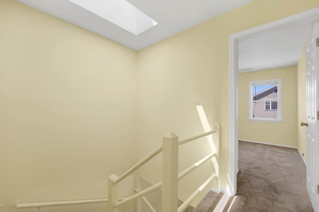 1157 W 19th Pl, Chicago, IL 60608 - hallway featuring a skylight, carpet, an upstairs landing, and baseboards