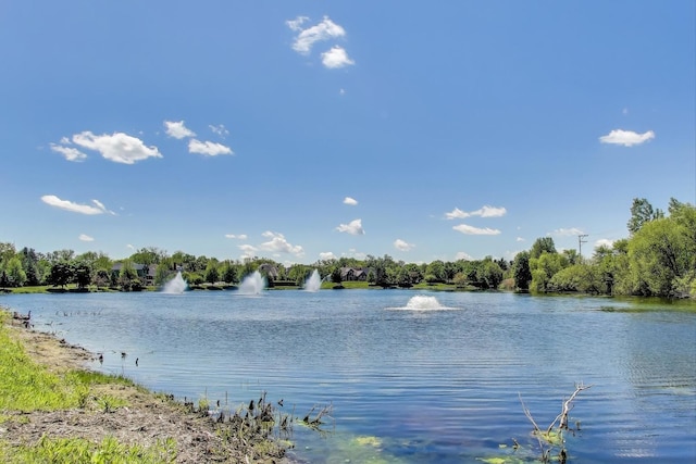 197 Trumpet Vine Cir, Elgin, IL 60124 - photo 49