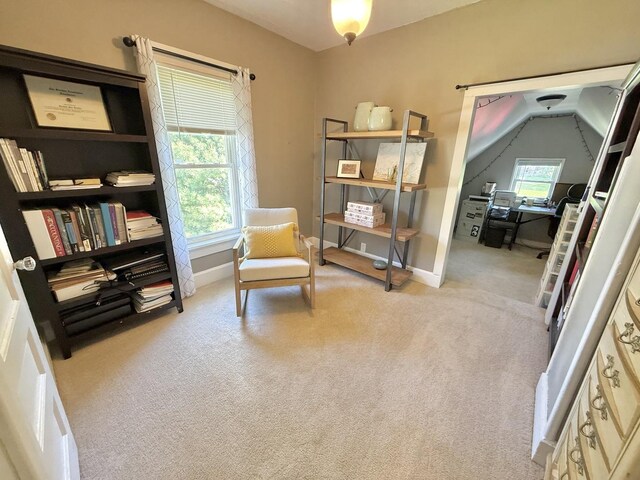 202 17th Ave, Sterling, IL 61081 - sitting room with carpet, baseboards, an office area, and vaulted ceiling
