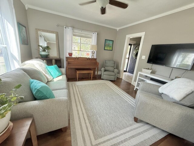 202 17th Ave, Sterling, IL 61081 - living area with wood finished floors, a ceiling fan, ornamental molding, and baseboards