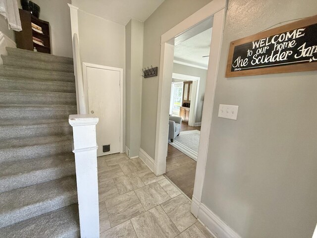 202 17th Ave, Sterling, IL 61081 - stairs with baseboards