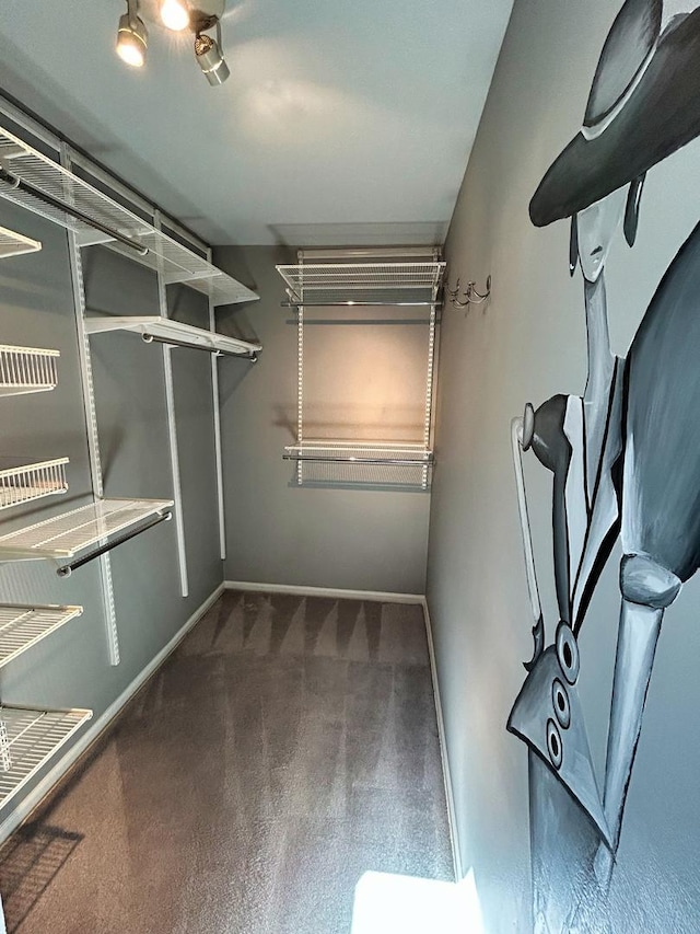 1622 Indian Knoll Rd, Naperville, IL 60565 - spacious closet with carpet flooring