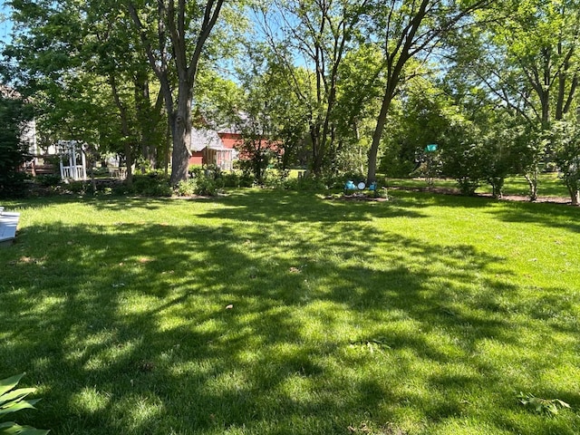 1622 Indian Knoll Rd, Naperville, IL 60565 - view of grassy yard
