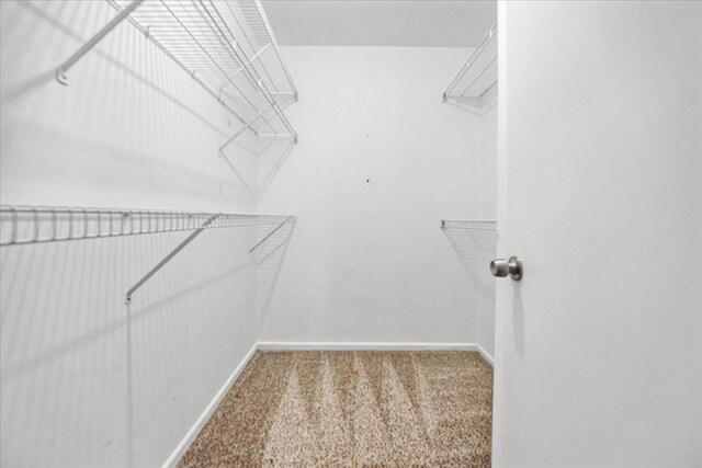 30W014 Willow Ln Unit 1, Warrenville, IL 60555 - spacious closet featuring carpet flooring
