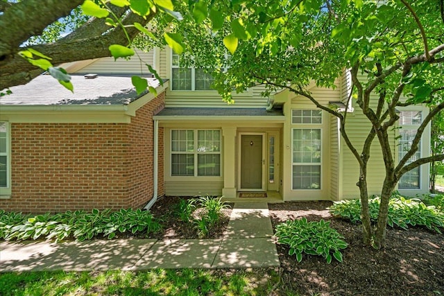 30W014 Willow Ln Unit 1, Warrenville, IL 60555 - view of exterior entry with brick siding and a shingled roof