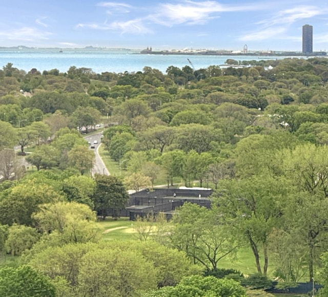 5455 N Sheridan Rd Unit 2206, Chicago, IL 60640 - aerial view of property and surrounding area featuring a large body of water