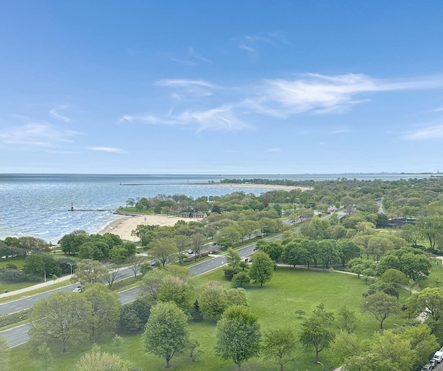 5455 N Sheridan Rd Unit 2206, Chicago, IL 60640 - bird's eye view of a large body of water