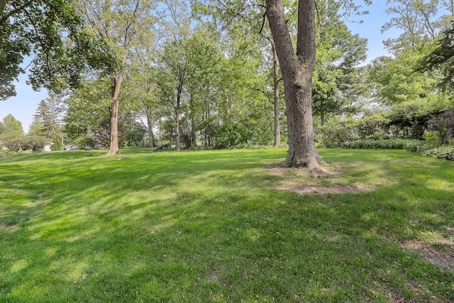 1131 Blanchard St, Downers Grove, IL 60516 - view of green lawn