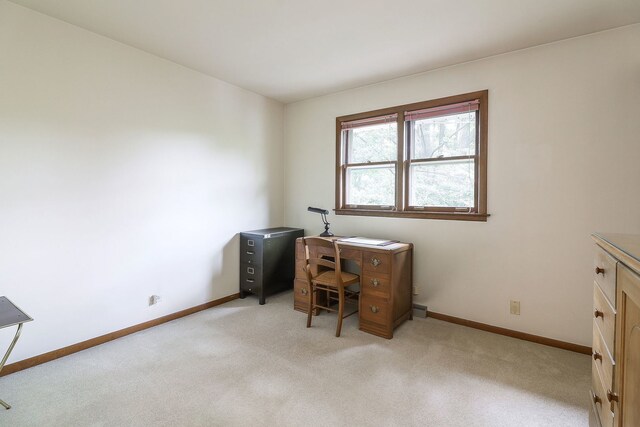 1131 Blanchard St, Downers Grove, IL 60516 - office area featuring baseboards and light colored carpet