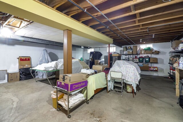 1131 Blanchard St, Downers Grove, IL 60516 - view of below grade area