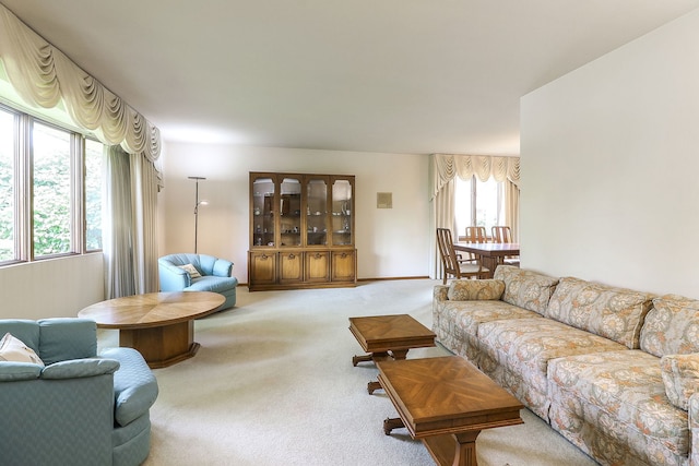 1131 Blanchard St, Downers Grove, IL 60516 - carpeted living room featuring healthy amount of natural light and baseboards