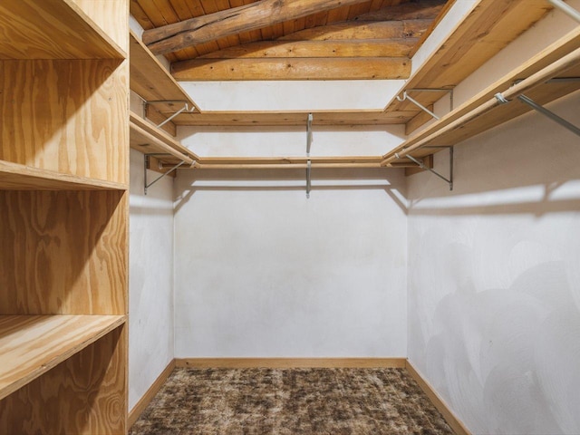 5123 Walnut Gove, Poplar Grove, IL 61065 - spacious closet featuring carpet flooring