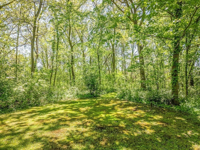 5123 Walnut Gove, Poplar Grove, IL 61065 - view of green lawn with a forest view