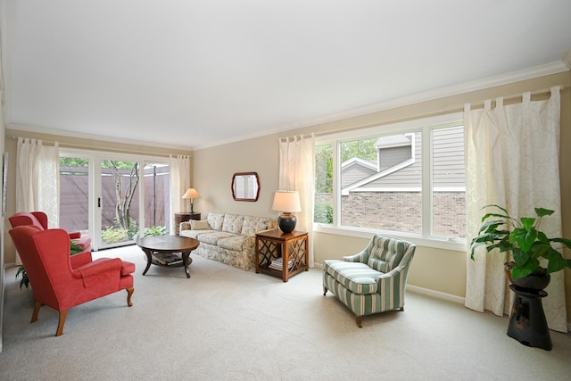 2107 Timber Ln, Wheaton, IL 60189 - living area with crown molding and carpet floors