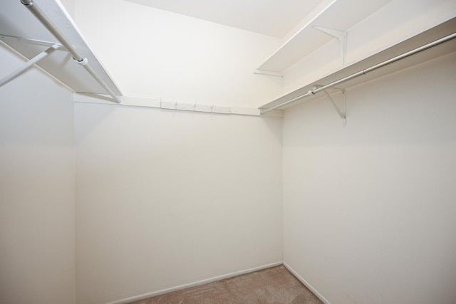 2107 Timber Ln, Wheaton, IL 60189 - spacious closet with light carpet