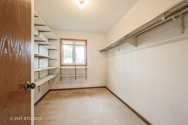 1214 W Talcott Rd, Park Ridge, IL 60068 - spacious closet featuring carpet flooring