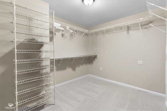 491 Bloomfield Cir W, Oswego, IL 60543 - spacious closet with carpet flooring