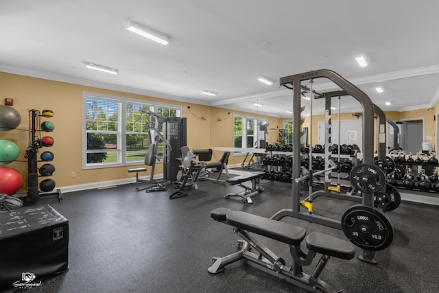 491 Bloomfield Cir W, Oswego, IL 60543 - workout area featuring crown molding and baseboards