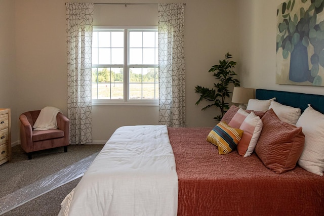 LOT37 W Caspian Cir, Lockport, IL 60441 - carpeted bedroom with baseboards