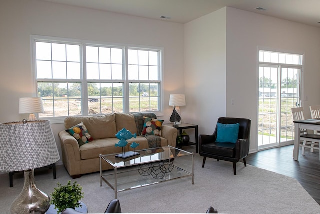 LOT37 W Caspian Cir, Lockport, IL 60441 - living area featuring plenty of natural light and wood finished floors