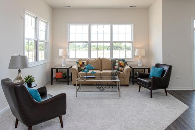 LOT37 W Caspian Cir, Lockport, IL 60441 - living room with baseboards and wood finished floors
