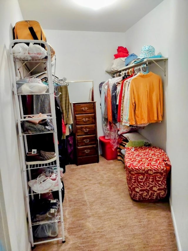 1175 Lake Cook Rd Unit 201W, Northbrook, IL 60062 - spacious closet featuring carpet floors