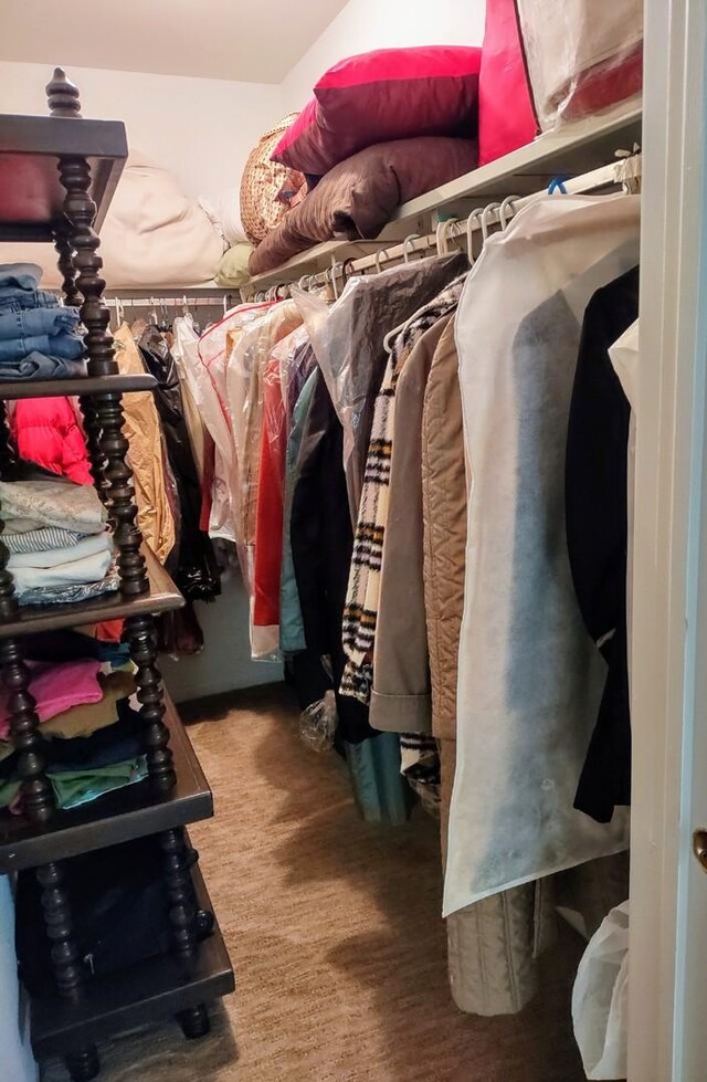 1175 Lake Cook Rd Unit 201W, Northbrook, IL 60062 - view of walk in closet