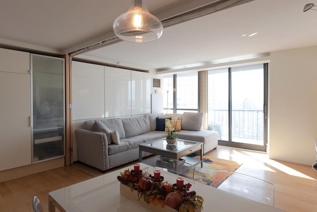10 E Ontario St Unit 4805, Chicago, IL 60611 - living room with wood finished floors