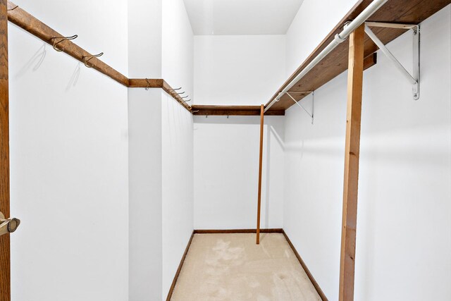 533 Lomond Dr, Mundelein, IL 60060 - spacious closet with light carpet
