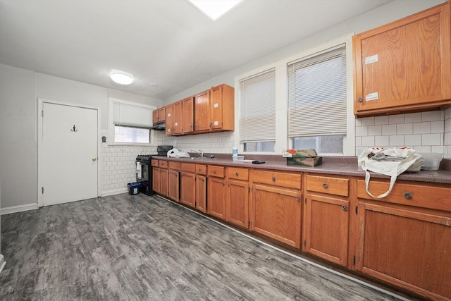 6131 N Rockwell St, Chicago, IL 60659 - photo 11