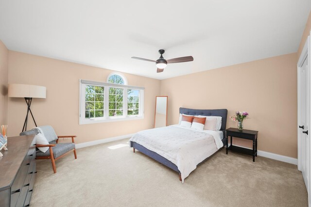 6901 Grand Ave, Downers Grove, IL 60516 - photo 27