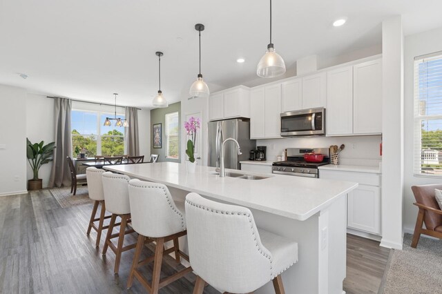 2011 Sequoia Ave, Mundelein, IL 60060 - kitchen featuring stainless steel appliances, a sink, plenty of natural light, a kitchen island with sink, and recessed lighting