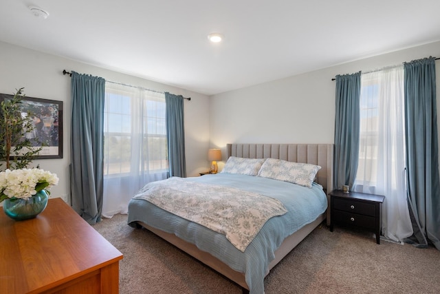 2011 Sequoia Ave, Mundelein, IL 60060 - view of carpeted bedroom