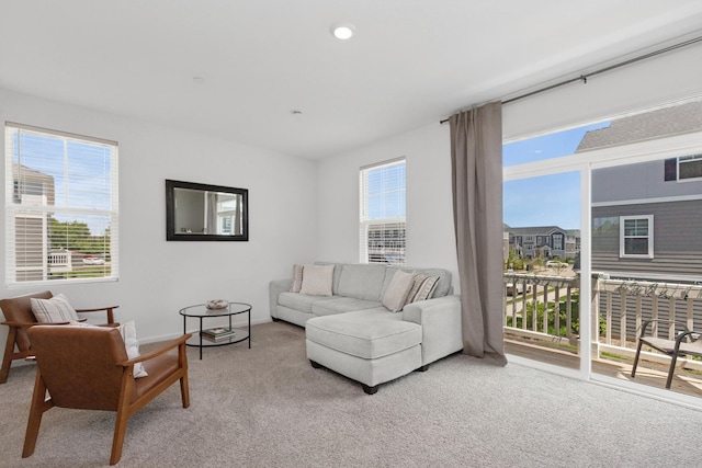 2011 Sequoia Ave, Mundelein, IL 60060 - living room with carpet