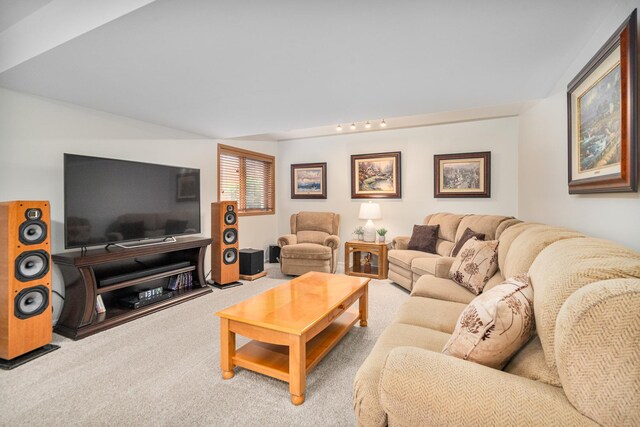 291 Georgetown Ave, Romeoville, IL 60446 - living room featuring carpet