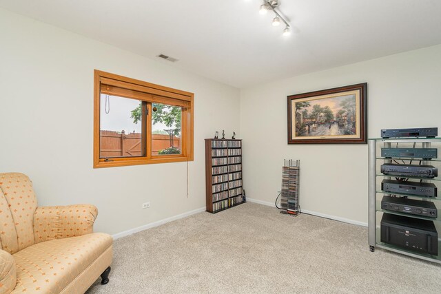 291 Georgetown Ave, Romeoville, IL 60446 - sitting room with carpet and baseboards