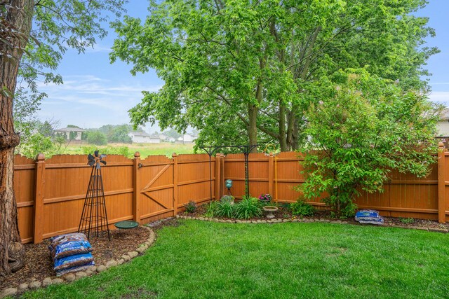291 Georgetown Ave, Romeoville, IL 60446 - view of yard