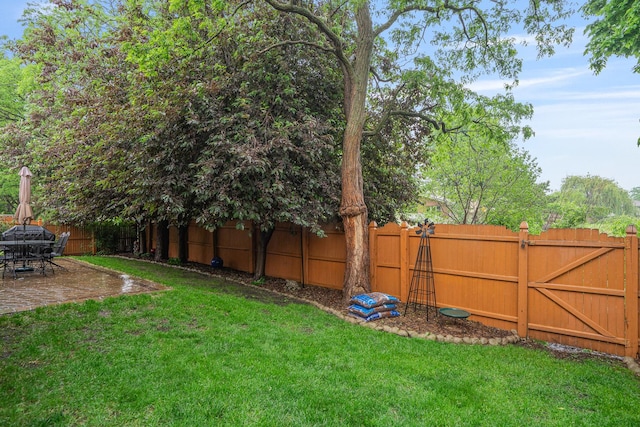 291 Georgetown Ave, Romeoville, IL 60446 - view of yard featuring a patio area