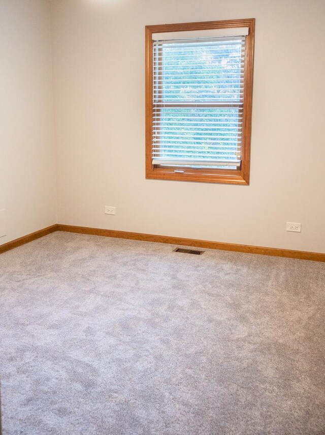 2697 Fox River Ln, Naperville, IL 60565 - photo 15