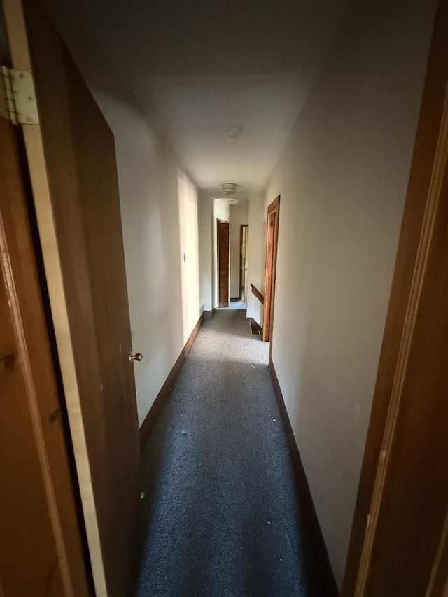 428 Chicago Ave, Savanna, IL 61074 - hall with baseboards