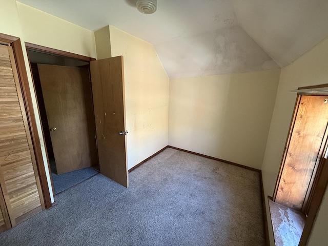 428 Chicago Ave, Savanna, IL 61074 - additional living space featuring carpet floors, vaulted ceiling, and baseboards