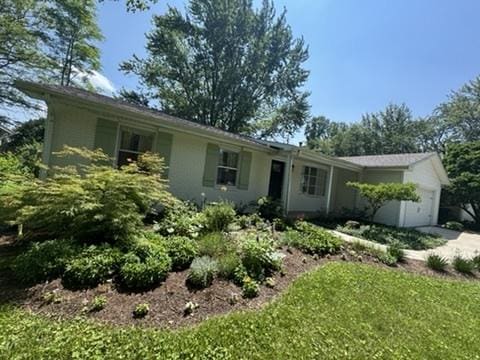 203 E Willard St, Urbana, IL 61801 - photo 4