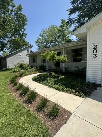 203 E Willard St, Urbana, IL 61801 - photo 5