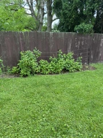 203 E Willard St, Urbana, IL 61801 - photo 44