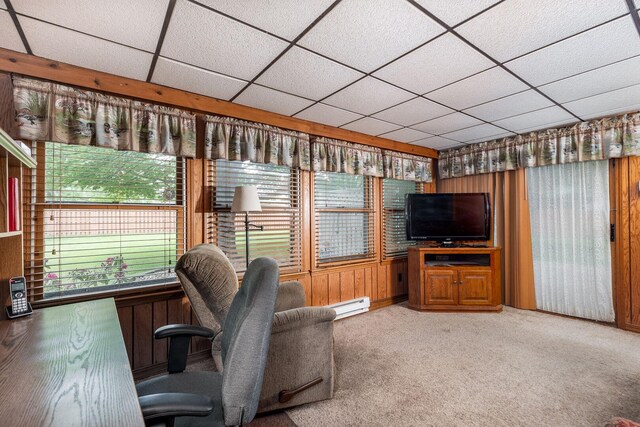 914 Laura Ave, Streator, IL 61364 - photo 13