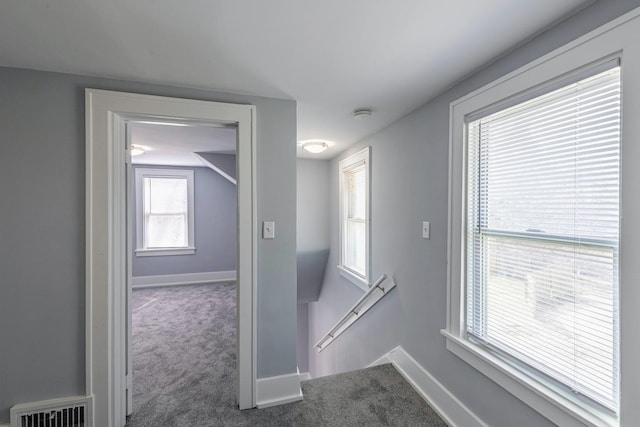 14446 Martin Luther King Jr Dr, Dolton, IL 60419 - hall with an upstairs landing, carpet floors, and baseboards