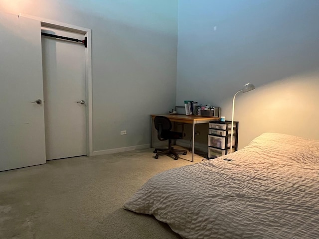 1001 W 15th St Unit 342, Chicago, IL 60608 - view of carpeted bedroom