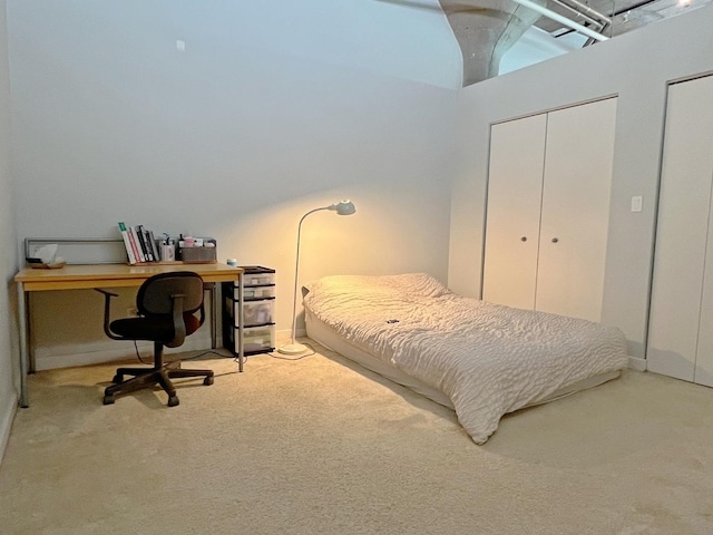 1001 W 15th St Unit 342, Chicago, IL 60608 - bedroom featuring carpet, multiple closets, and a towering ceiling